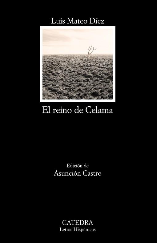 REINO DE CELAMA, EL | 9788437634791 | MATEO DÍEZ, LUIS