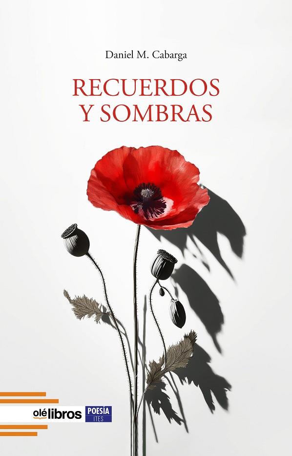 RECUERDOS Y SOMBRAS | 9788410053724 | MARTINEZ CABARGA, DANIEL