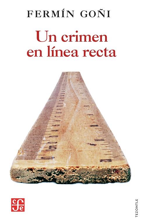 CRIMEN EN LÍNEA RECTA, UN | 9788437508306 | GOÑI BIDAURRETA, FERMÍN