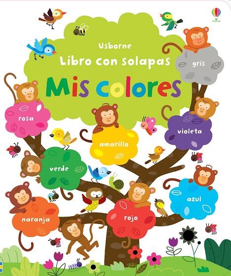 LIBRO CON SOLAPAS. LOS COLORES | 9781409573043 | BROOKS, FELICITY