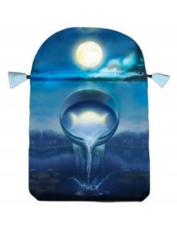 BOLSA TAROT BRUJERÍA DE PLATA | 9788865273166