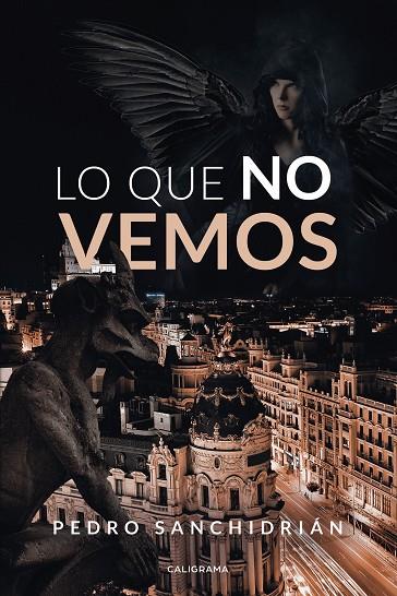 LO QUE NO VEMOS | 9788418073052 | SANCHIDRIÁN, PEDRO