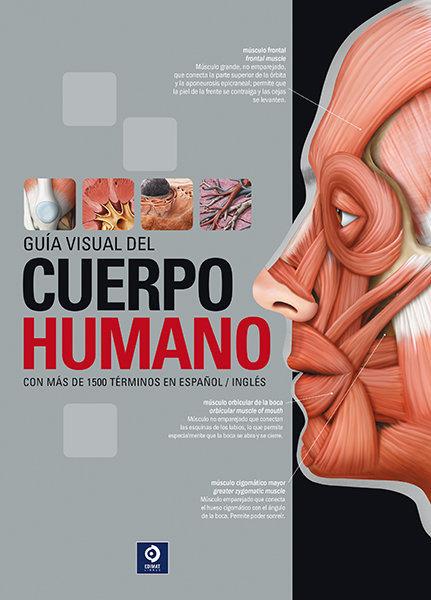 GUÍA VISUAL DEL CUERPO HUMANO | 9788497945233 | BELANGÉR, SYLVAIN