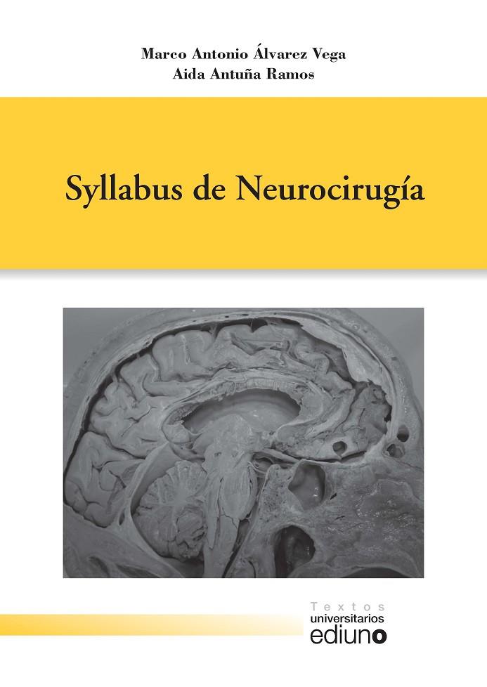 SYLLABUS DE NEUROCIRUGÍA | 9788416664047 | ÁLVAREZ VEGA, MARCO ANTONIO / ANTUÑA RAMOS, AIDA