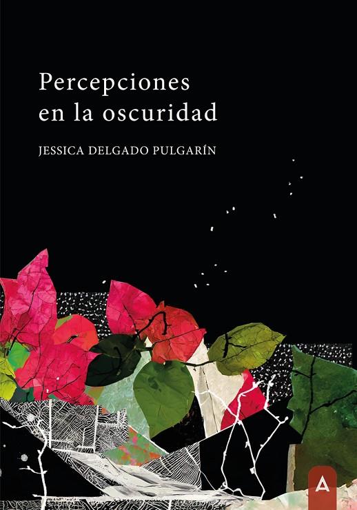 PERCEPCIONES EN LA OSCURIDAD | 9788410155329 | DELGADO PULGARÍN, JESSICA