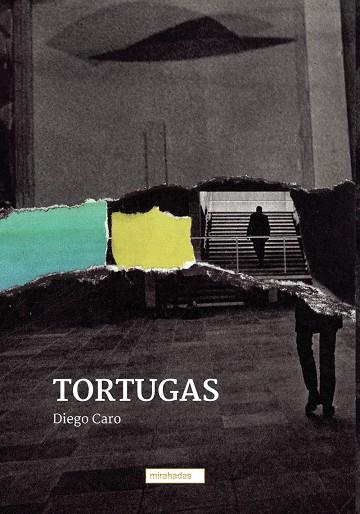 TORTUGAS | 9788418996139 | CARO, DIEGO