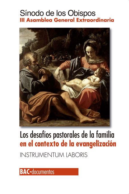 DESAFÍOS PASTORALES DE LA FAMILIA EN EL CONTEXTO DE LA EVANGELIZACIÓN, LOS | 9788422017417 | SÍNODO DE OBISPOS