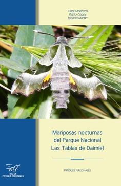 MARIPOSAS NOCTURNAS DEL PARQUE NACIONAL LAS TABLAS DE DAIMIEL | 9788480143776 | MONTORO, CLARA / COBOS, PABLO / MARTÍN, IGNACIO