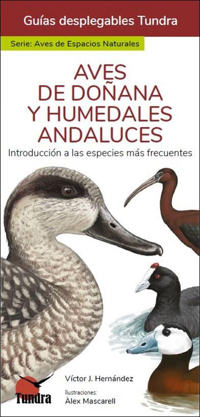 AVES DE DOÑANA Y HUMEDALES ANDALUCES - GUIAS DESPLEGABLES TUNDRA | 9788418458972 | HERNANDEZ, VICTOR J.