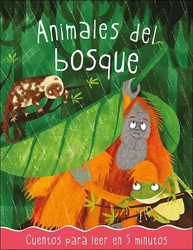 ANIMALES DEL BOSQUE | 9788428566070 | VEITCH, CATHERINE