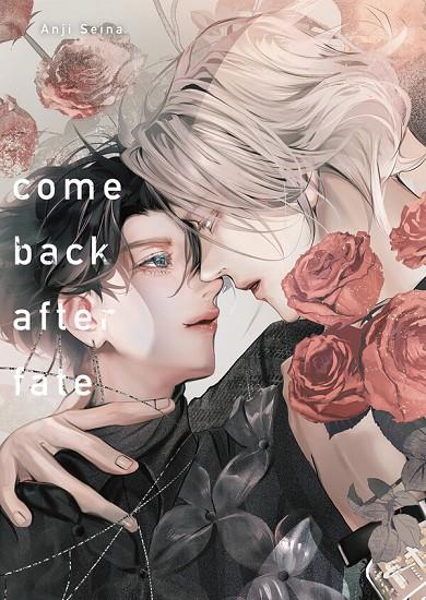 COMEBACK AFTER FATE | 9791387822149 | SEINA, ANJI