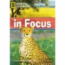 CHEETAH CHASE | 9781424022199