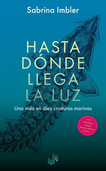 HASTA DONDE LLEGA LA LUZ | 9788412731873 | IMBLER, SABRINA
