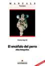 ENCEFALO DEL PERRO, EL | 9788449023545 | AIGE GIL, VICENTE