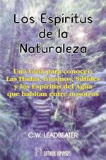 DICCIONARIO DE CIENCIAS OCULTAS | 9788479102548 | ANONIMO