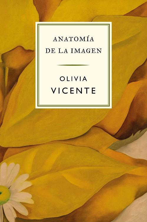 ANATOMÍA DE LA IMAGEN | 9788419243683 | VICENTE, OLIVIA