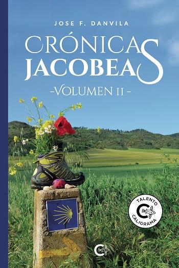 CRÓNICAS JACOBEAS - VOLUMEN II | 9788418310133 | DANVILA, JOSE F.