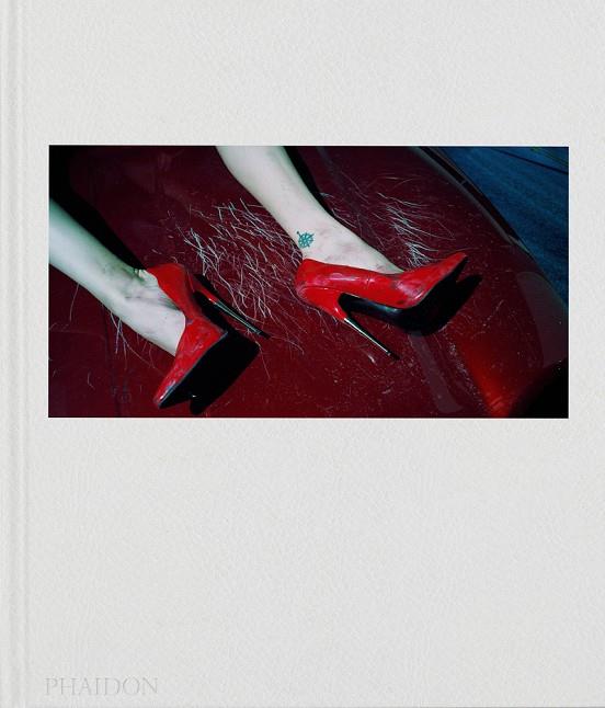 STEVEN KLEIN | 9781838665555 | KLEIN, STEVE