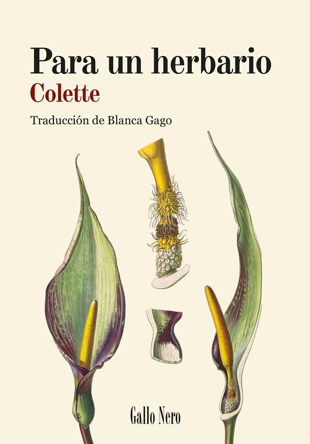 PARA UN HERBARIO | 9788419168887 | COLETTE
