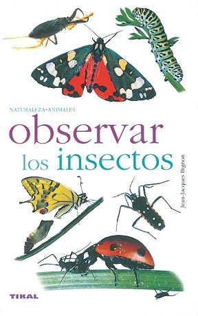 OBSERVAR LOS INSECTOS | 9788430553334 | BIGNON, JEAN-JACQUES