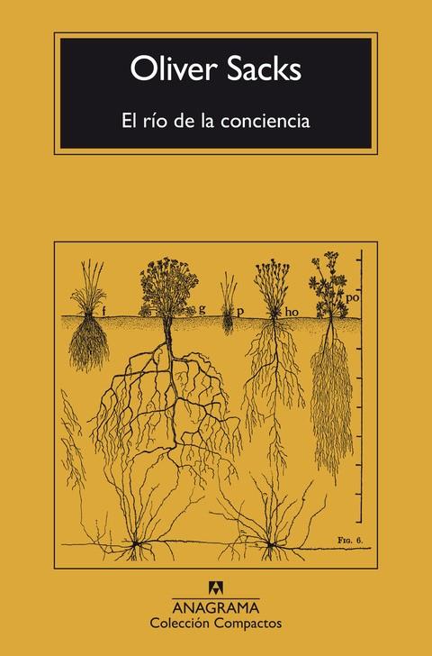 RÍO DE LA CONCIENCIA, EL | 9788433946867 | SACKS, OLIVER