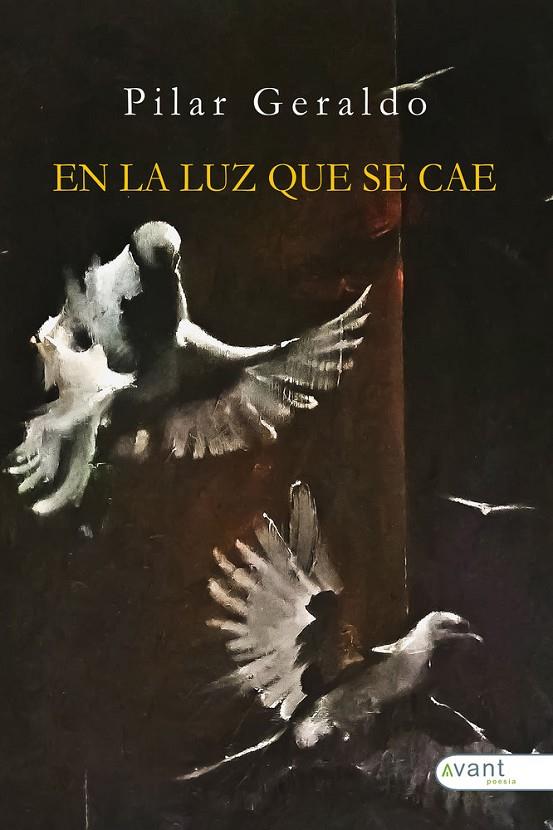 EN LA LUZ QUE SE CAE | 9791387532796 | GERALDO DENIA, PILAR