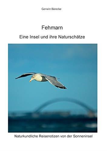 FEHMARN | 9783750452404 | BARECKE, GERWIN