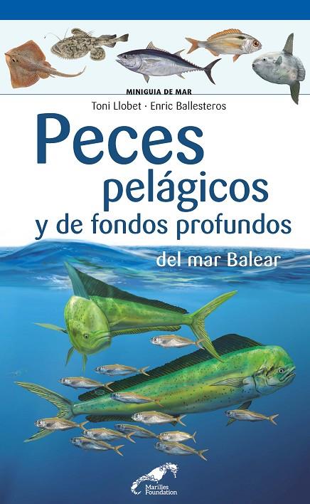 PECES PELÁGICOS Y DE FONDOS PROFUNDOS DEL MAR BALEAR | 9788416918775 | LLOBET, TONI / BALLESTEROS SAGARRA, ENRIC