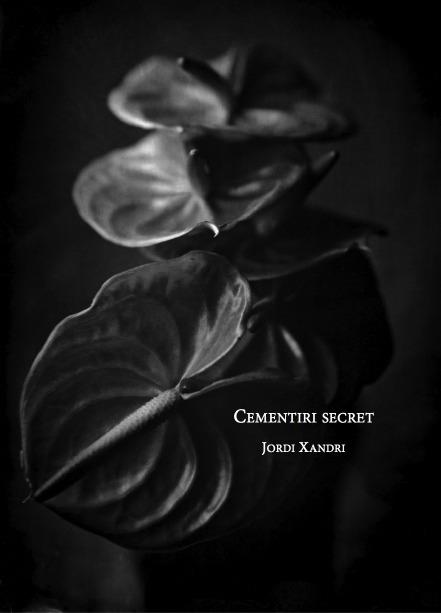 CEMENTIRI SECRET | 9788494546662 | XANDRI, JORDI