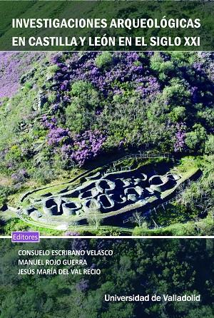 INVESTIGACIONES ARQUEOLÓGICAS EN CASTILLA Y LEÓN EN EL SIGLO XXI | 9788413203102 | ESCRIBANO VELASCO, CONSUELO