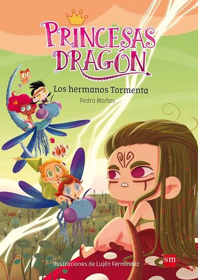 PRINCESAS DRAGÓN 05 : LOS HERMANOS TORMENTA | 9788491073116 | MAÑAS, PEDRO