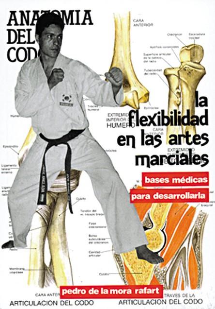 FLEXIBILIDAD EN LAS ARTES MARCIALES, LA | 9788420302324 | DE LA MORA RAFART