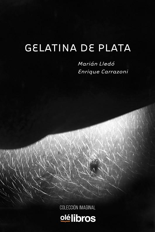 GELATINA DE PLATA | 9788417737603 | LLEDÓ, MARÍAN