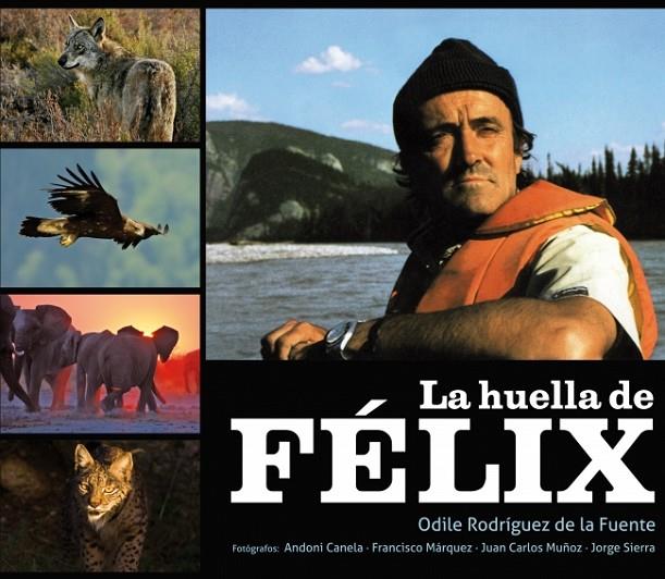 HUELLA DE FELIX, LA | 9788425345685 | RODRIGUEZ, ODILE