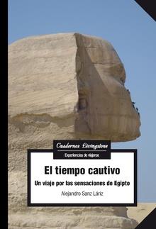 TIEMPO CAUTIVO, EL | 9788491801849 | SANZ LÁRIZ, ALEJANDRO