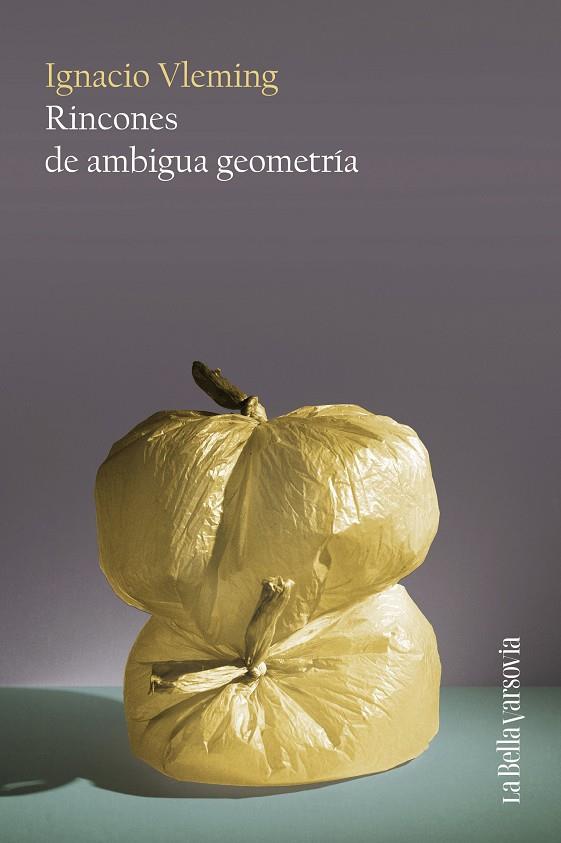 RINCONES DE AMBIGUA GEOMETRÍA | 9788433929402 | VLEMING, IGNACIO