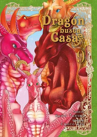 DRAGÓN BUSCA CASA 09 | 9788410163805 | TANUKI, KAWO