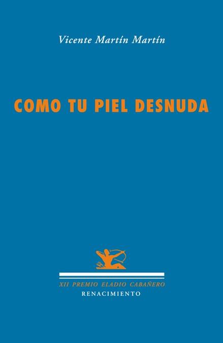 COMO TU PIEL DESNUDA | 9788484724834 | MARTIN MARTIN, VICENTE