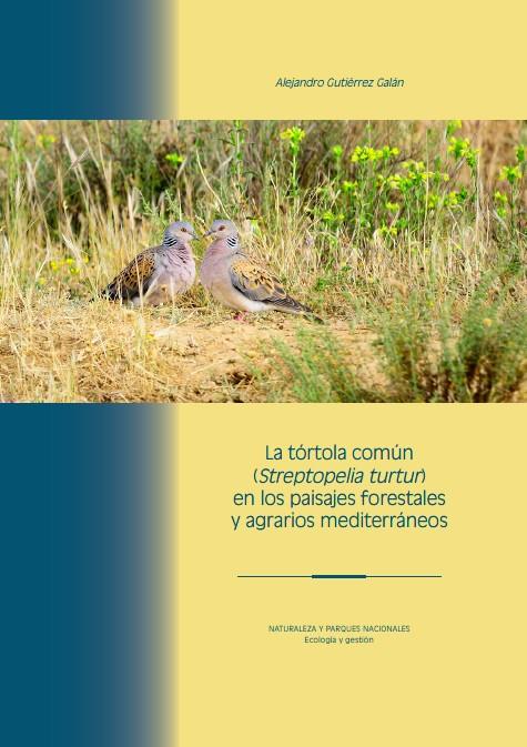 TÓRTOLA COMÚN (STREPTOPELIA TURTUR), LA : LA BIOINDICADORA MEDITERRÁNEA | 9788480143806 | GUTIÉRREZ GALÁN, ALEJANDRO