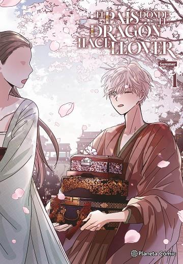 WHERE THE DRAGON'S RAIN FALLS 01 | 9791387920722 | SUMMER