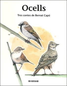 OCELLS. TRES CONTES | 9788494324932 | CAPÓ, BERNAT