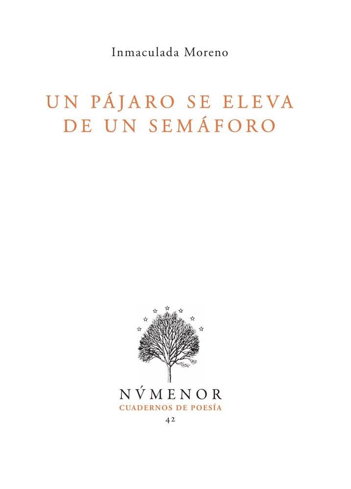 PAJARO SE ELEVA DE UN SEMAFORO, UN | 9788412952551 | MORENO, INMACULADA