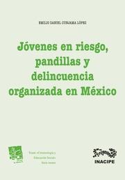 JÓVENES EN RIESGO, PANDILLAS Y DELINCUENCIA ORGANIZADA EN MÉXICO | 9788490538845 | CUNJAMA LÓPEZ, EMILIO DANIEL
