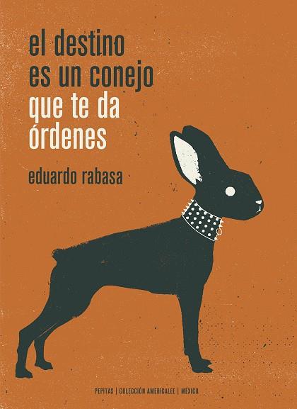 DESTINO ES UN CONEJO QUE TE DA ÓRDENES, EL | 9788417386498 | RABASA SALINAS, EDUARDO