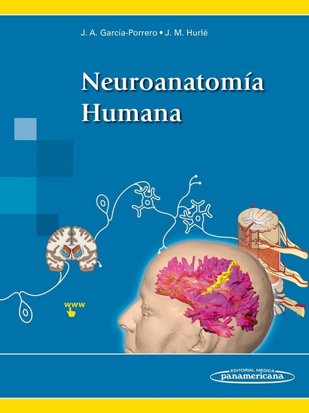 NEUROANATOMIA HUMANA (+ EBOOK) | 9788491107453 | GARCIA-PORRERO PEREZ, JUAN ANTONIO