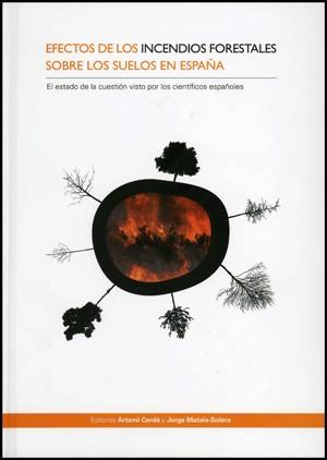 EFECTOS DE LOS INCENDIOS FORESTALES SOBRE LOS SUELOS DE ESPAÑA | 9788437076539 | VARIOS AUTORES