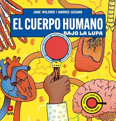 CUERPO HUMANO BAJO LA LUPA, EL | 9788411829021 | WILSHER, JANE