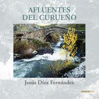AFLUENTES DEL CURUEÑO | 9788481988963 | DIEZ FERNANDEZ ,JESUS