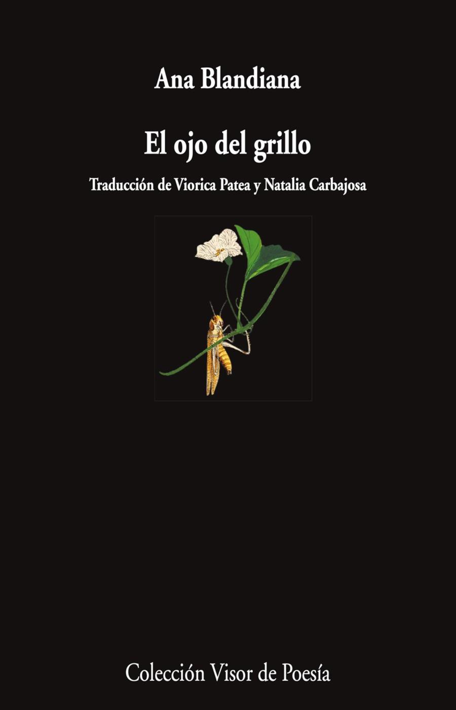 OJO DEL GRILLO, EL | 9788498955750 | BLANDIANA, ANA