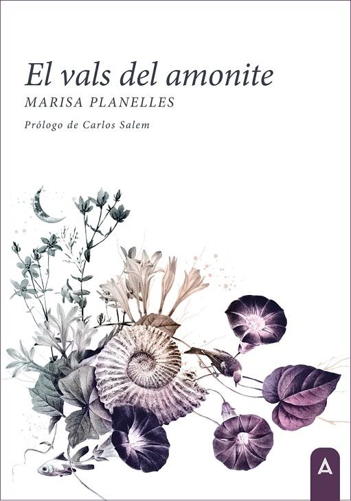 VALS DEL AMONITE, EL | 9788419864574 | PLANELLES, MARISA